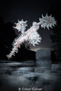"Ghost Pipe Cemetery" part of my Underwater Surrealism bo... by Conor Culver 